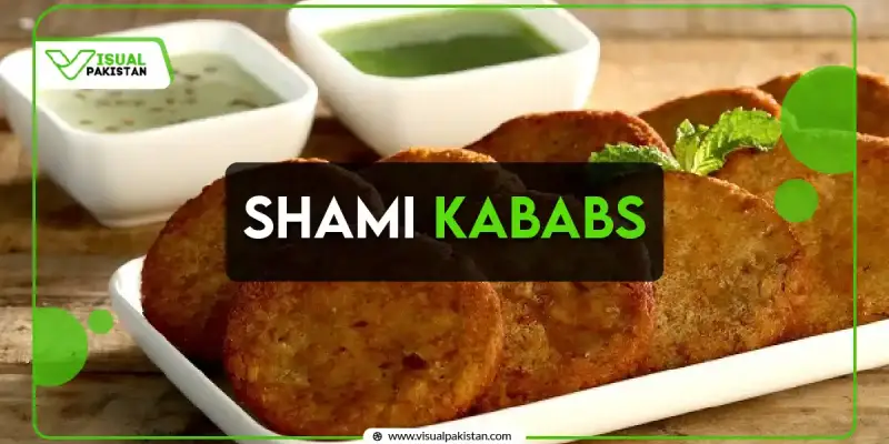 Shami Kababs