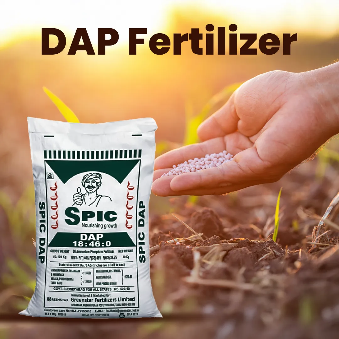DAP Fertilizer Prices in Pakistan