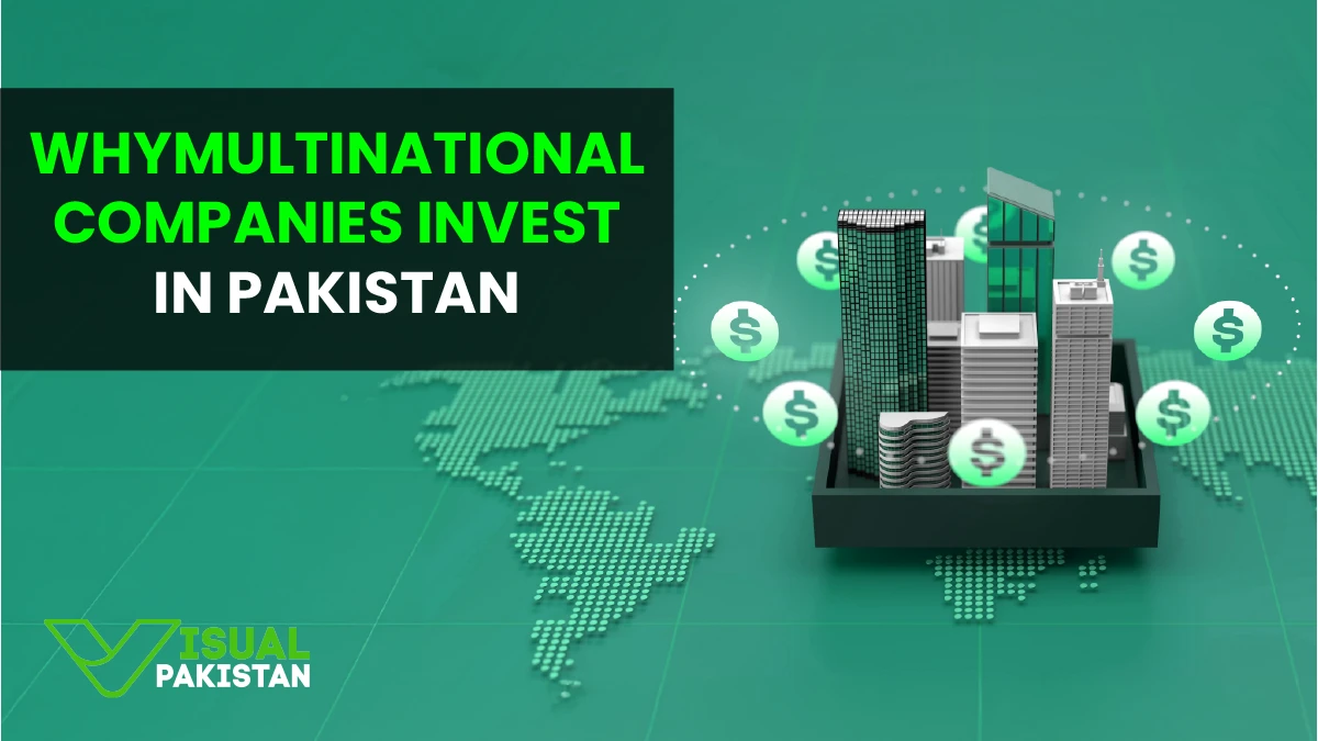 This image is about "Why Multinational Companies Invest in pakistan"