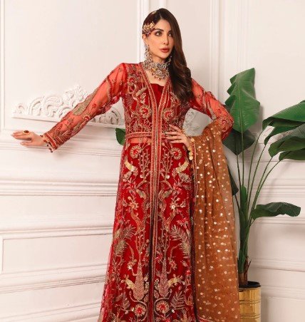 Embrioded Chiffon Dresses