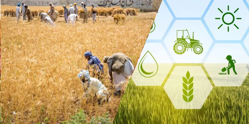 Challenges Faced by Agriculture in 2025