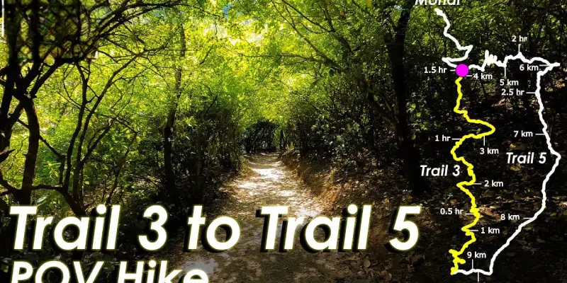 2. Trail 3 and Trail 5 For Families Who Like a Little Adventure