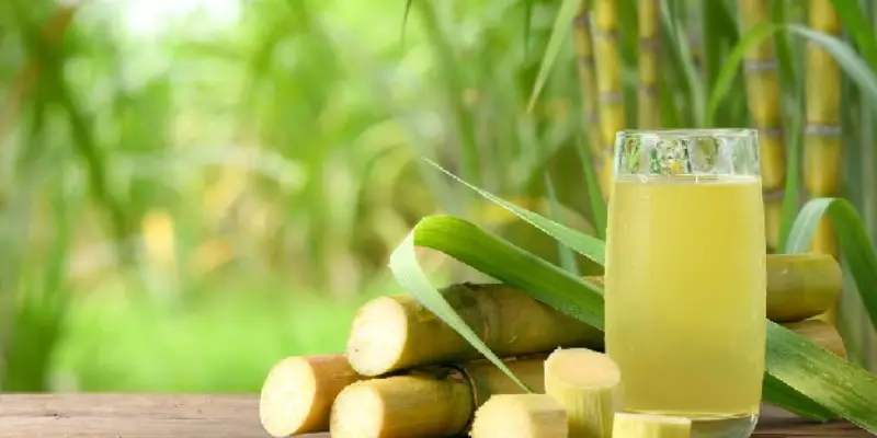 Health Considerations